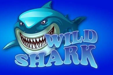 Слот Wildshark Лофт Казино